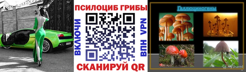 Галлюциногенные грибы MAGIC MUSHROOMS  наркота  Барнаул 