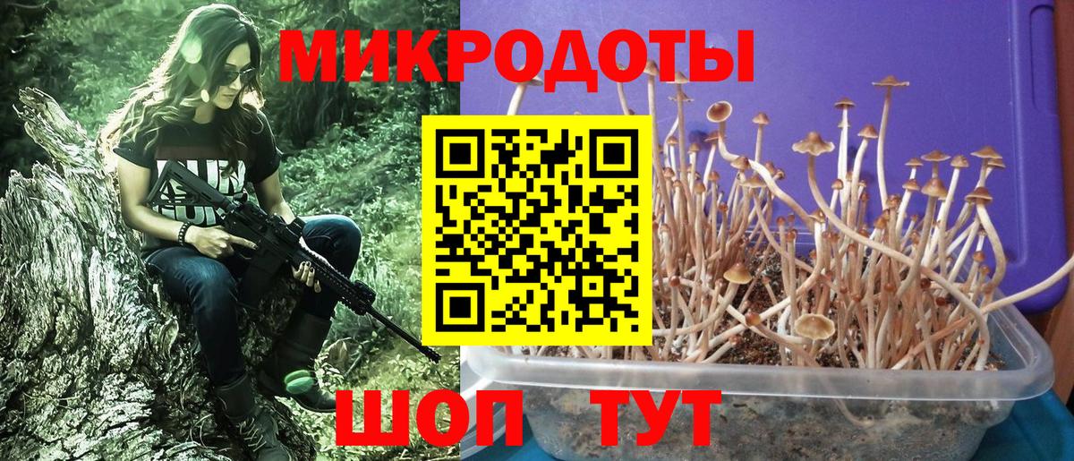 цена   Вход с VPN  Барнаул  Псилоцибиновые грибы прущие грибы  Галлюциногенные грибы мицелий 
